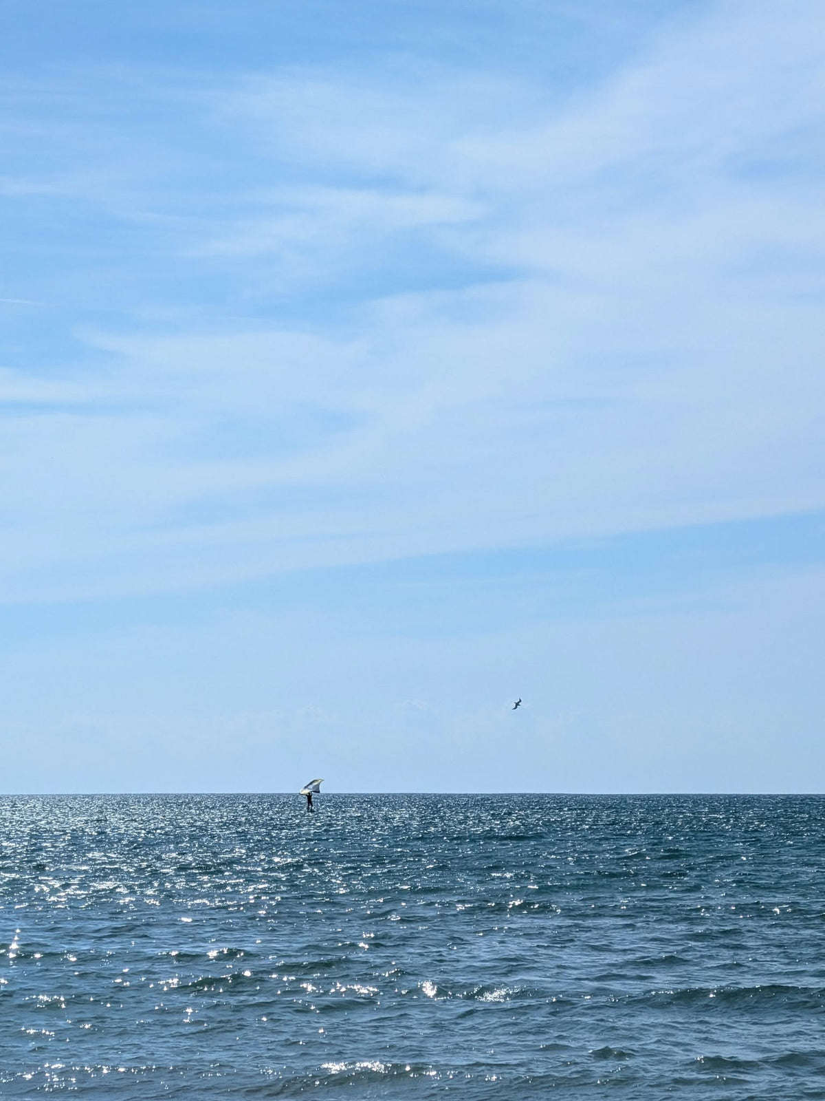 A wide lake horizon with blue water under a pale blue sky, with a tiny distant bird and a wind surfer on the horizon.